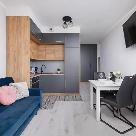 Przestronny Z Balkonem By Renters Apartment