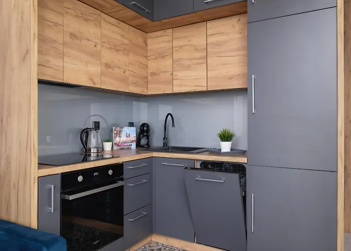 Przestronny Z Balkonem By Renters *